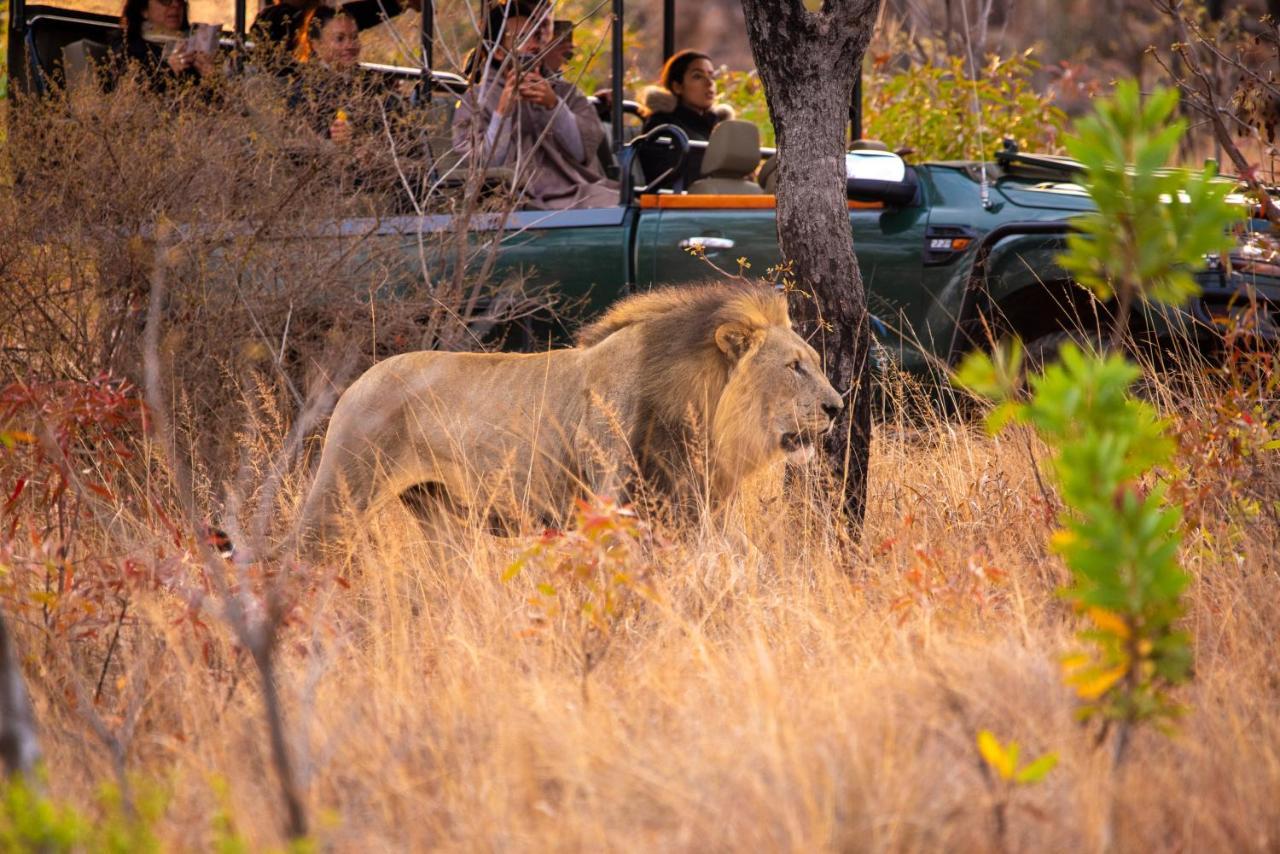 Nungubane Game Lodge Welgevonden viltreservat Exteriör bild